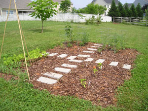 veg garden.jpg